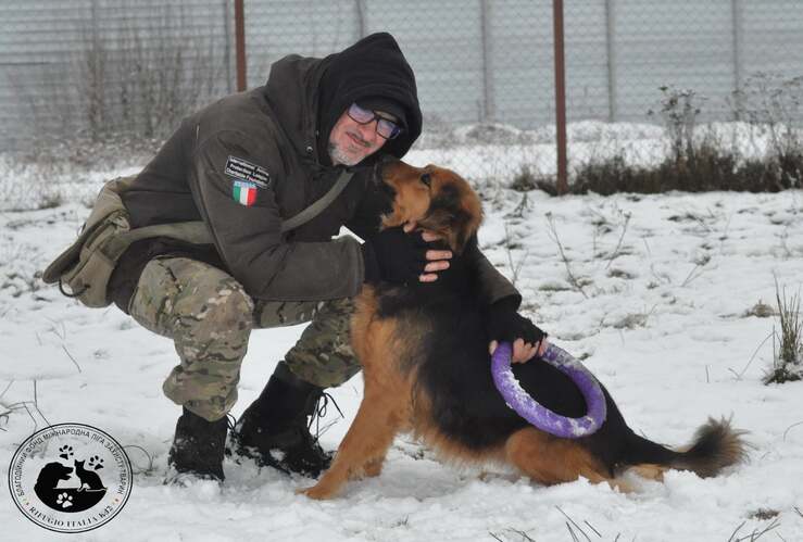 Andrea Cisternino resta in Ucraina per aiutare gli animali randagi ( Foto Facebook)