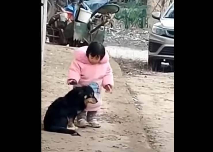 cane spaventato fuochi artificio capodanno cinese