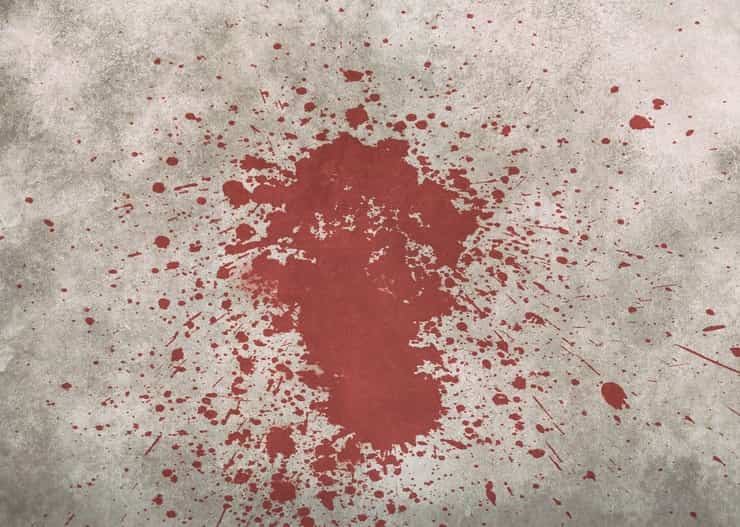 Lancia il cucciolo sul muro rendendolo permanentemente cieco