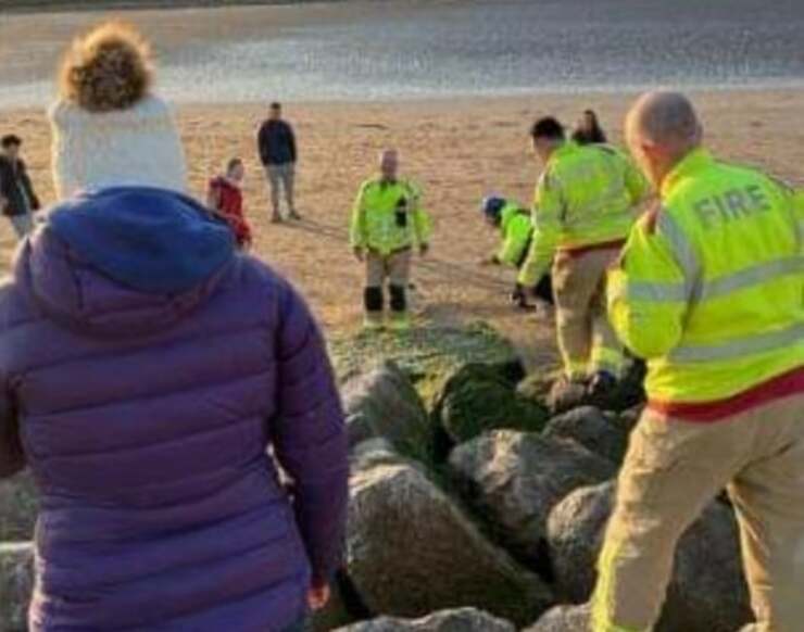 Cane intrappolato sotto gli scogli in spiaggia salvato dalla guardia costiera