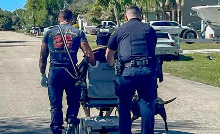 Cane salva il suo proprietario in sedia a rotelle che sta per annegare (Foto Facebook)