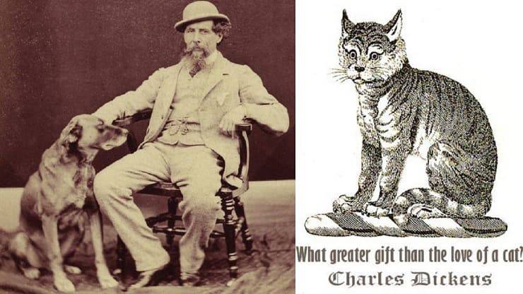 Gatto di Dickens