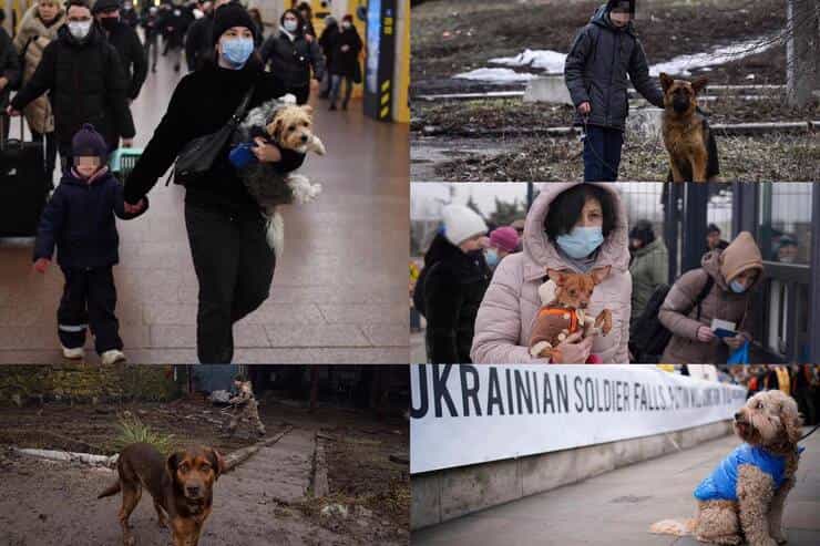 Cittadini che cercano di abbandonare l'Ucraina (Screen Facebook)