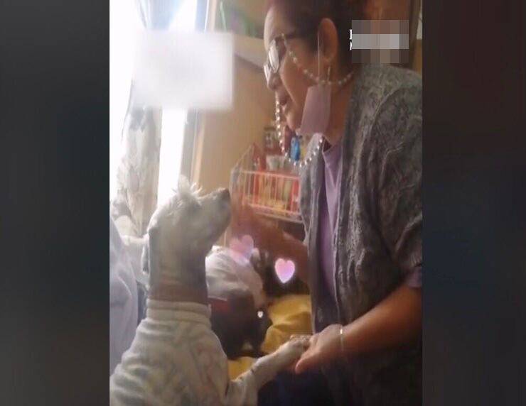 Donna parla a cuore aperto con il suo cucciolo (Screen video)