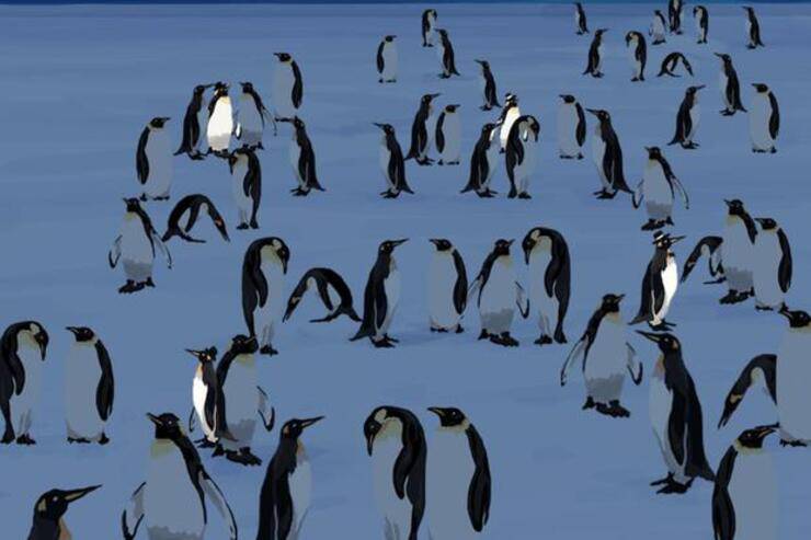 La soluzione del test che sfida la vostra agilità mentale incitandovi a trova tutti i pinguini diversi