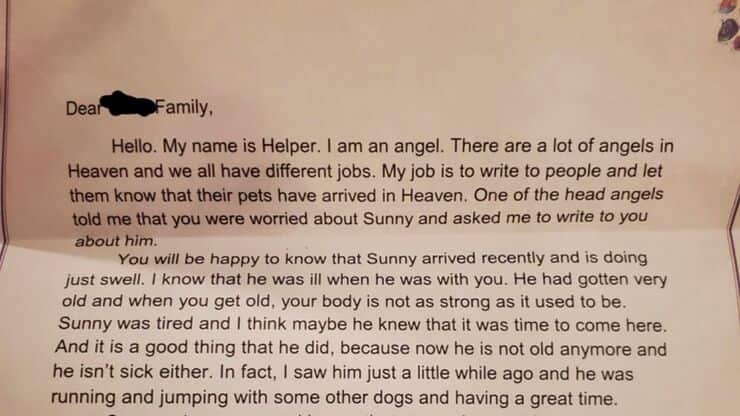 Lettera inviata dal veterinario alla famiglia del cucciolo (Screen Reddit)