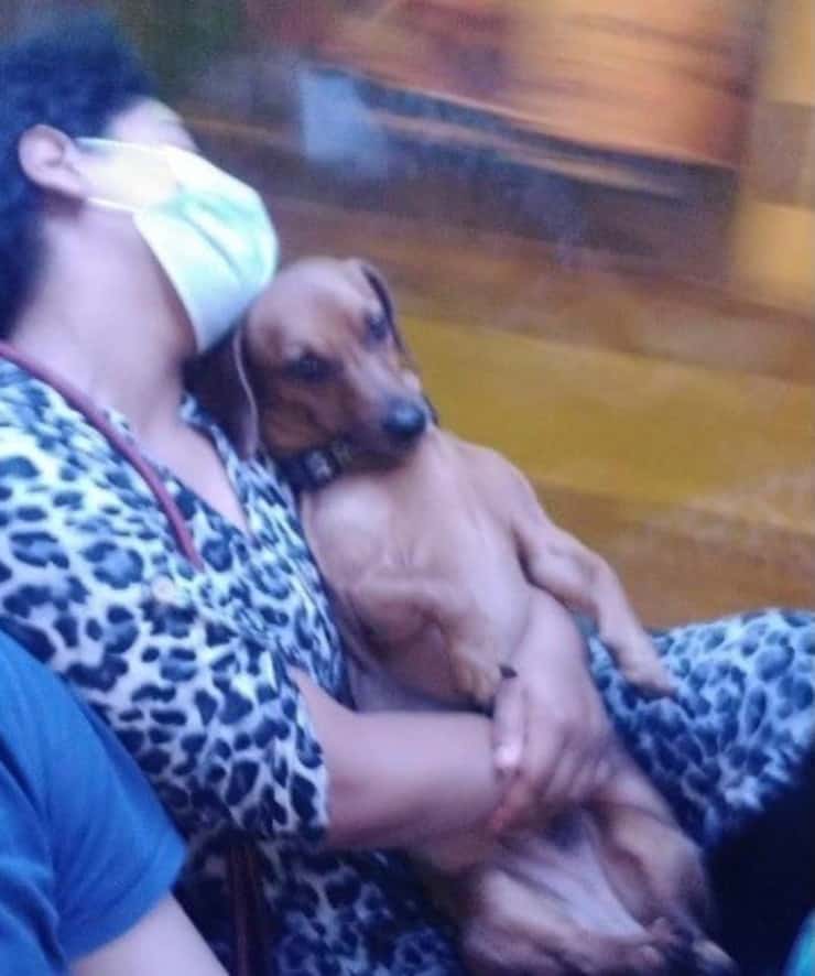 Una donna si addormenta con in braccio il suo cucciolo (Screen Facebook)