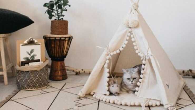 tenda per gatto fai da te
