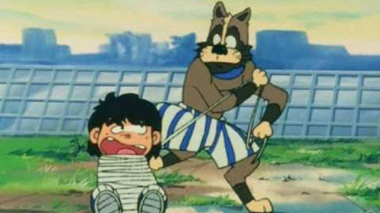 Cane Gigi la trottola nome, razza, caratteristiche e curiosità