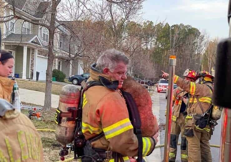 Perro salvado de las llamas por los bomberos gracias a su cola (Video)