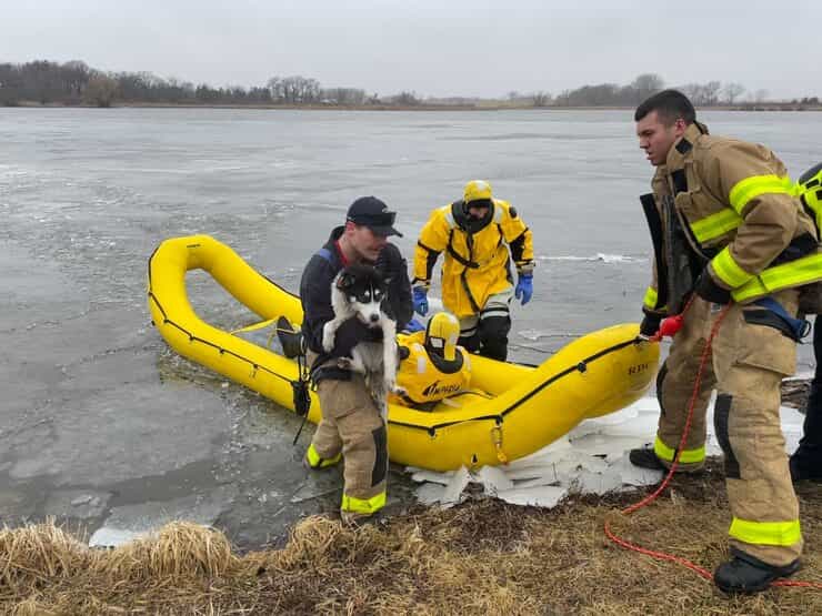 Cane bloccato sul lago ghiacciato salvato dai vigili del fuoco (Foto Facebook)