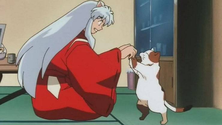 Gatti Inuyasha