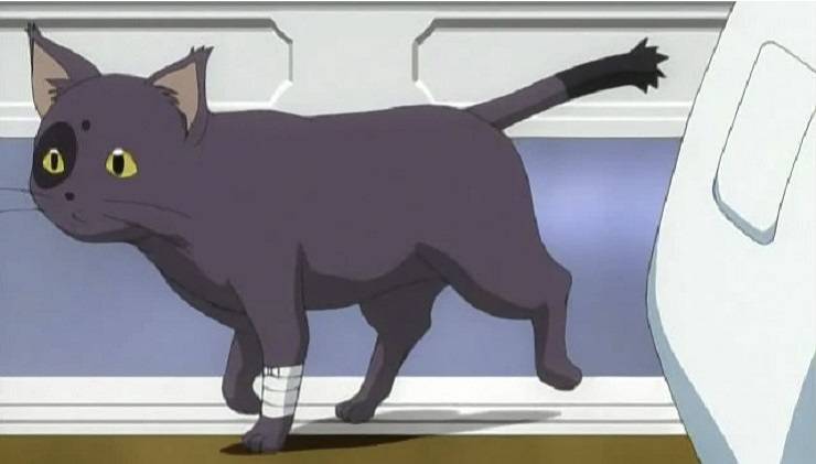 gatto Arthur anime