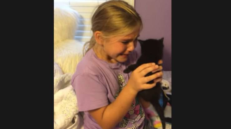bambina piange dopo aver visto gattino