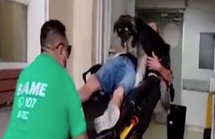 vagabundos acompañados de un hospital de confianza juntos