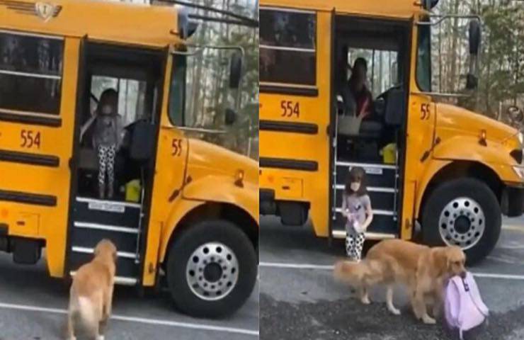 cane aspetta bambina porta zaino