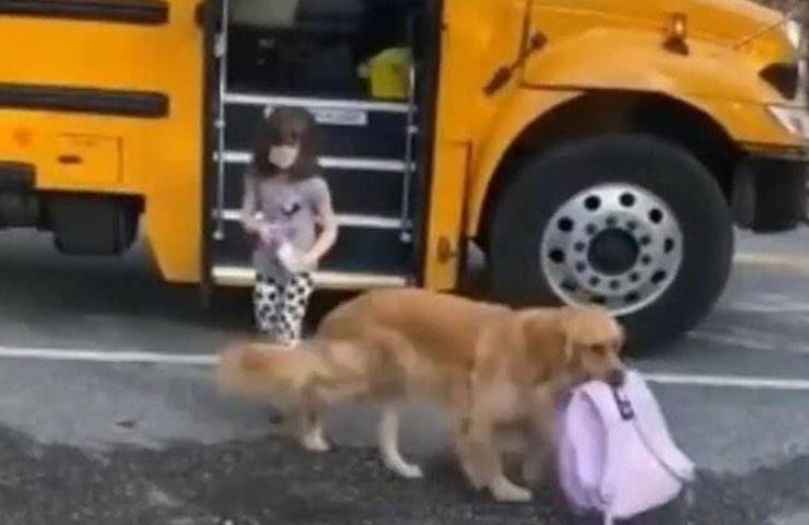 animale trasporta zaino scuola bambina