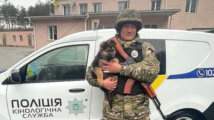 guerra ucraina cucciolo di cane