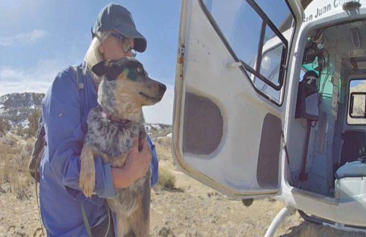 cane proprietaria perdono deserto salvati entrambi