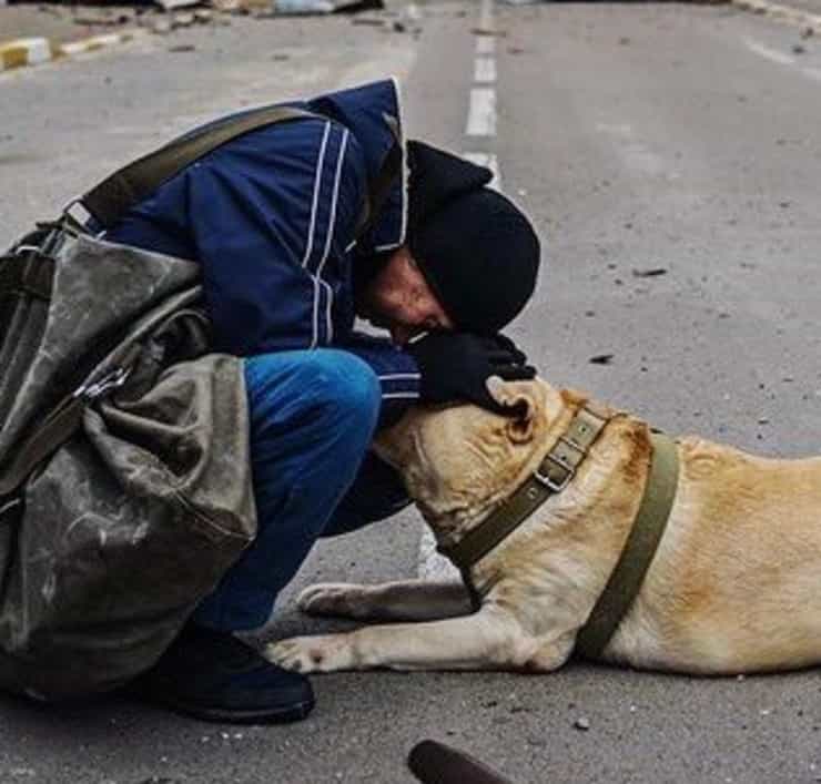 Il cucciolo si paralizza dalla paura ma non viene abbandonato (Screen Instagram)