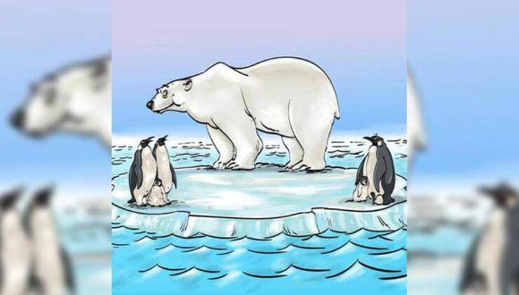 Il test dell'orso e dei pinguini: solo i più intelligenti scopriranno l'errore