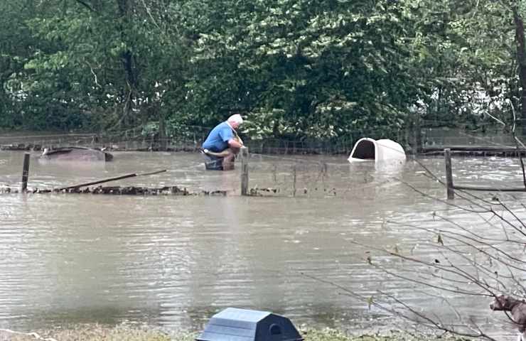 direttore canile soccorre animale inondazione Alabama