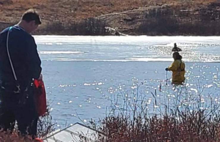salvataggio labrador caduto lago ghiacciato Massachusetts
