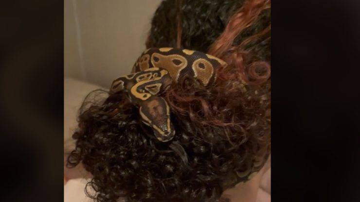 serpente nei capelli video