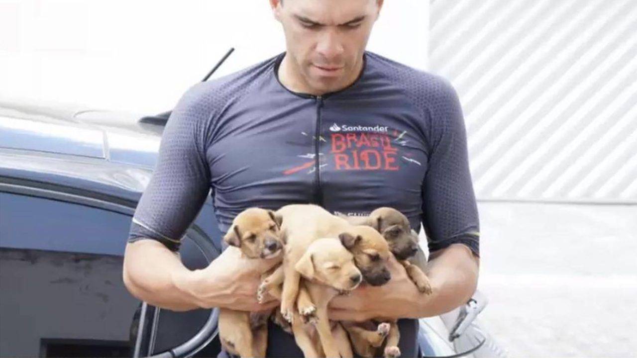 Noto ciclista brasiliano salva 5 cuccioli di cane dalla strada rurale
