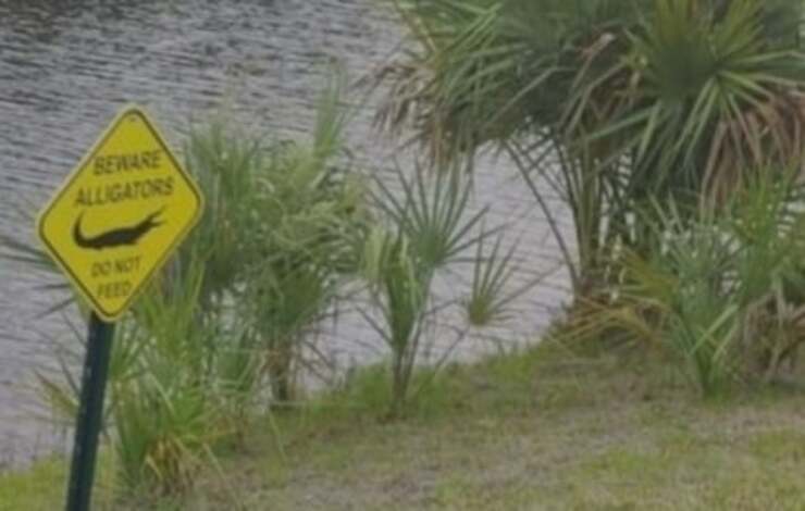 Cane cade del laghetto popolato dagli alligatori salvo per miracolo (Foto Facebook)