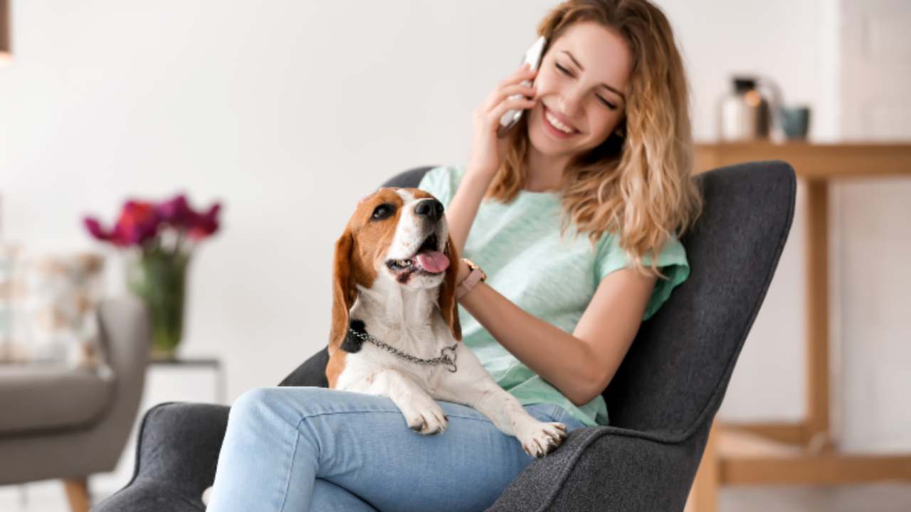 Perché il cane abbaia quando siamo al telefono? Scopriamolo