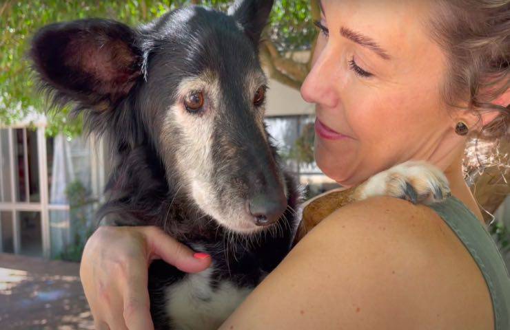 cane abbandonato famiglia trova nuova proprietaria