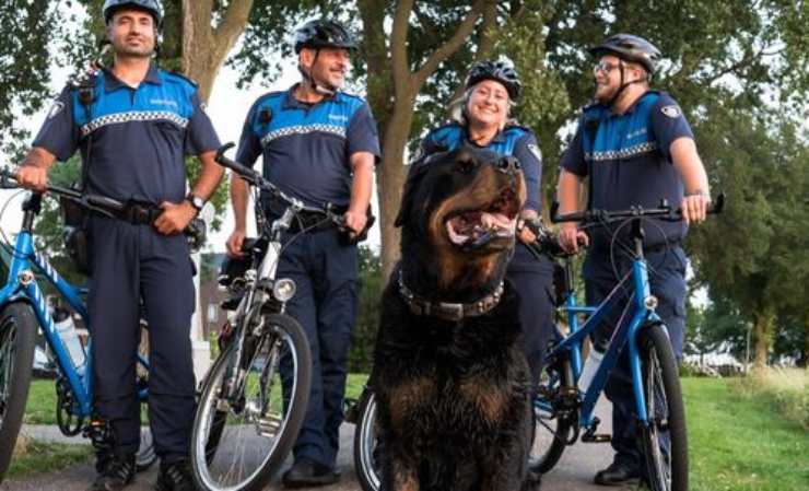 Il cane e la polizia (Foto facebook)