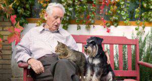 cani gatti rallentano declino cognitivo anziani