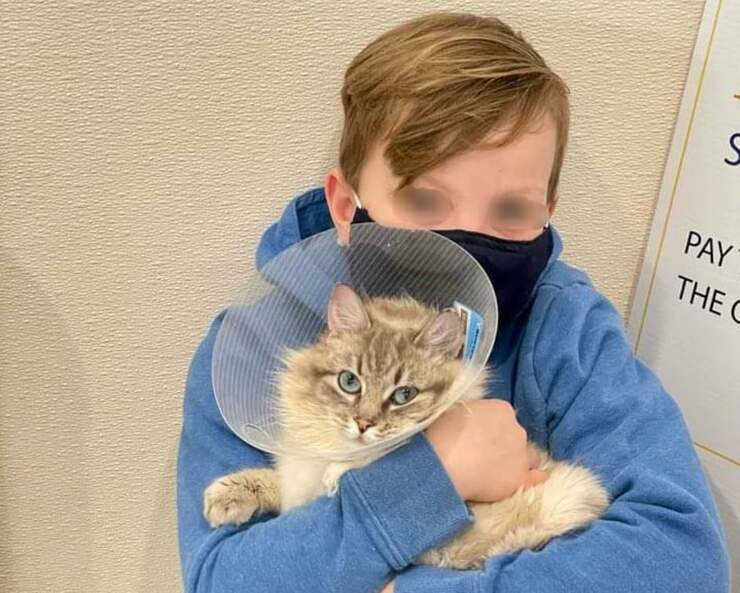 Bambino di 9 anni salva il gatto della discarica grazie ai panini alla cannella (Foto Facebook)