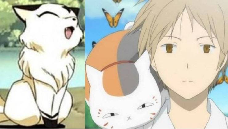 Gatti anime manga