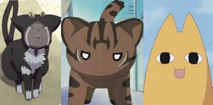 gatti anime manga 