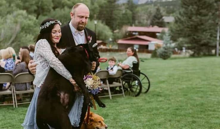 In fin di vita con un tumore al cervello cane accompagna la sposa (Video)