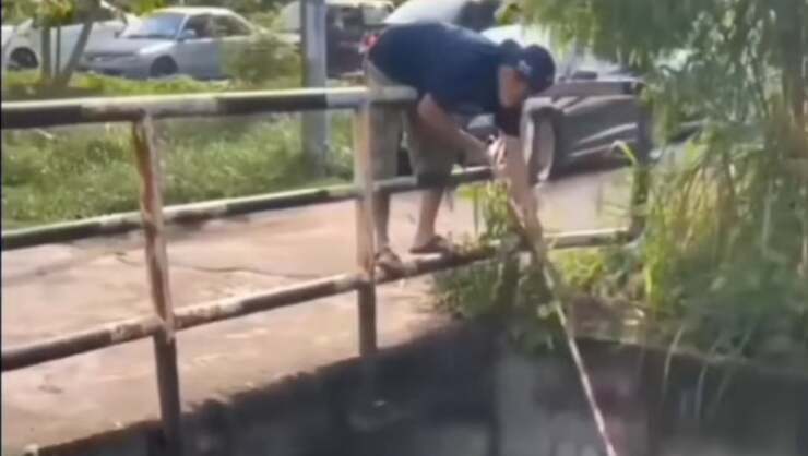 Gatto precipita all'interno di un canale, uomo fa di tutto per salvarlo (Screen Video)