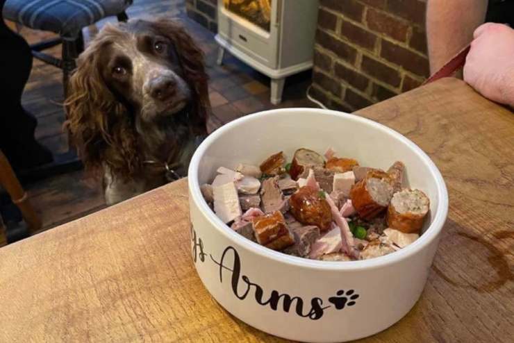Il cane alle prese con il cibo (Foto Facebook)