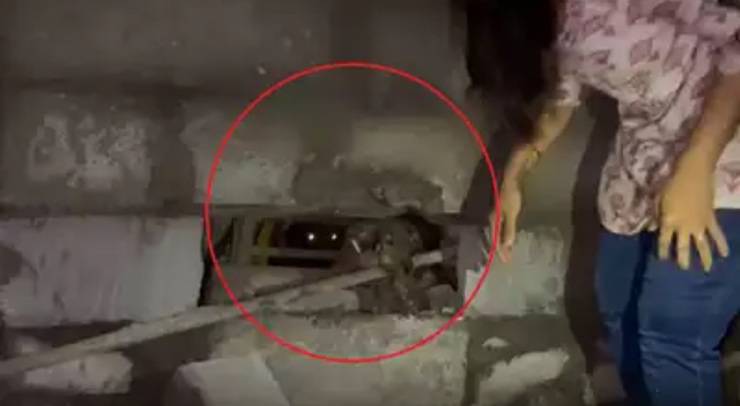 Attivisti sfondano un muro con un martello per salvare 10 cani (screen Video)