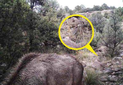 Soluzione del test visivo dell'immagine reale 