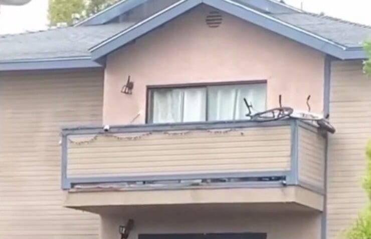 Balcone nel quale da 2 anni vive il cucciolo (Screen video)