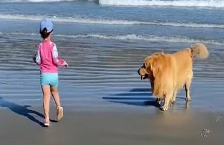 cane iperprotettivo non stacca bambina spiaggia video