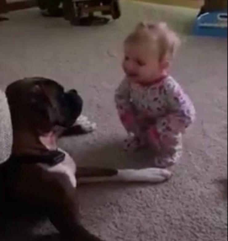 Una niña y un cachorro pasan tiempo juntos (captura de pantalla del video)