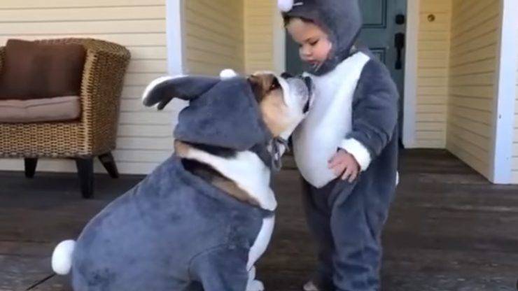 Bulldog inglese e bambino vestiti da coniglio pasquale 