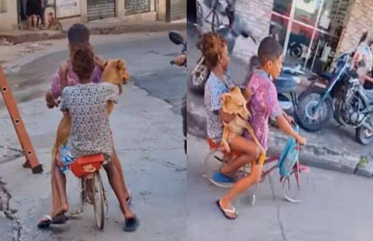 cane va bicicletta diverte bambini video