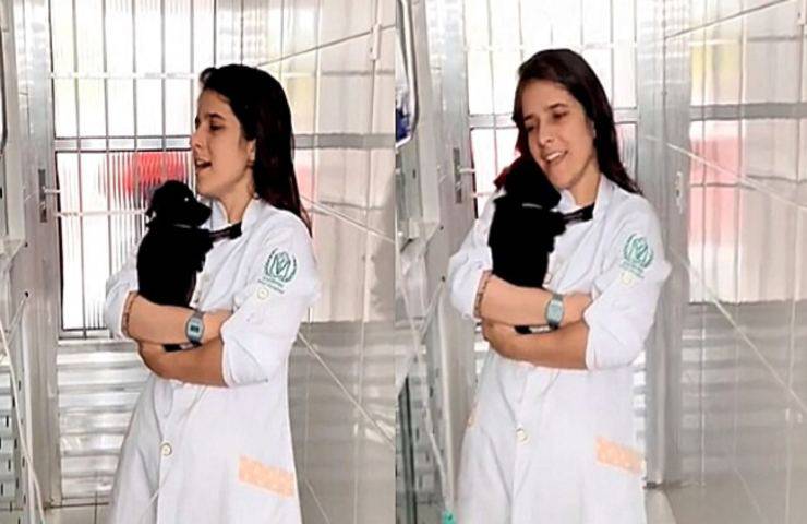 veterinaria canta ninna-nanna cucciolo convalescenza video