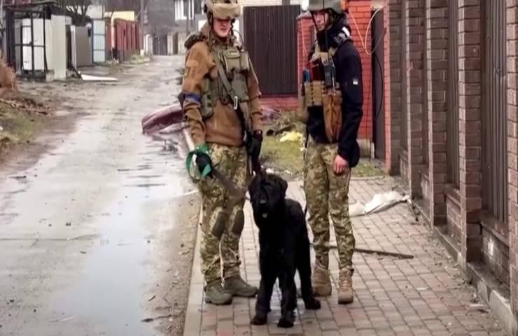 militari guerra Kiev salvano animale abbandonato video