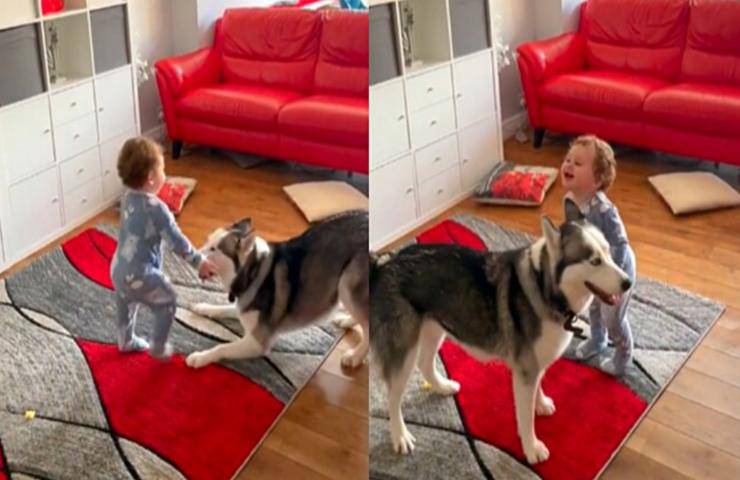 bambino ride crepapelle mentre gioca cane